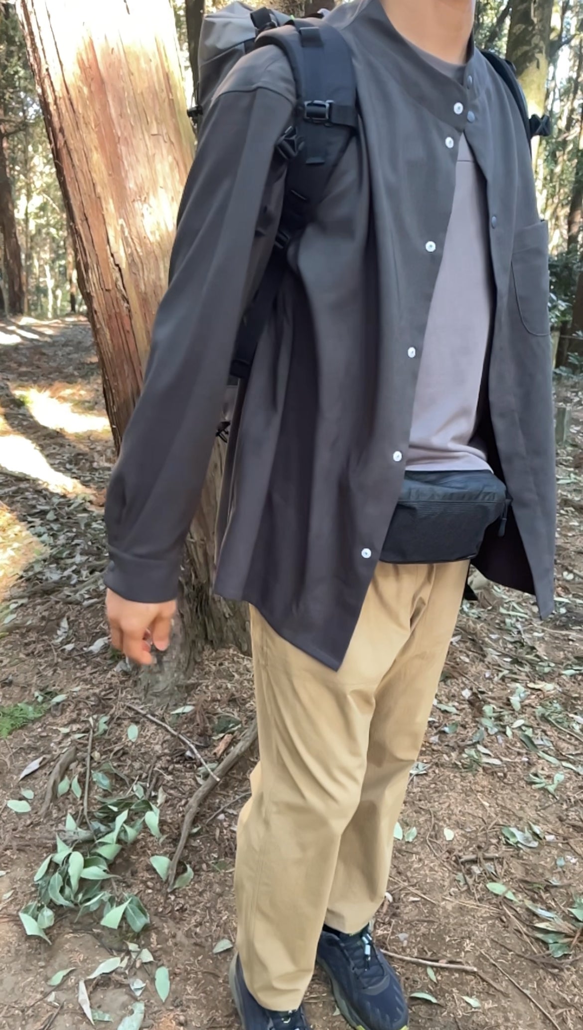 YM Ankle Pants